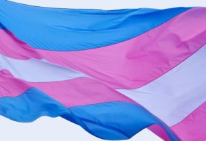 Getty Image - Transgender Flag